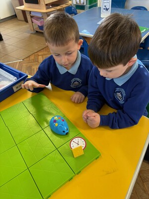 Standard thumbnail img 6083