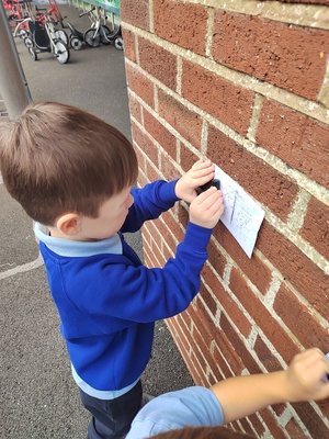 Standard img 20250919 131434