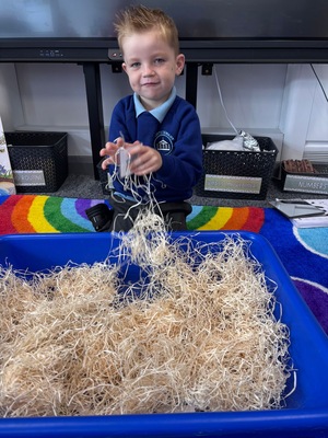 Standard 2f474ce2 d776 4c87 9ca1 c17f8a7530af