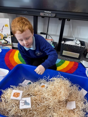 Standard 7cd33b4b e47a 416c aec5 d9c1976771cd