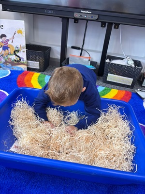 Standard 522be04e 74f6 4101 99c2 72198735490c