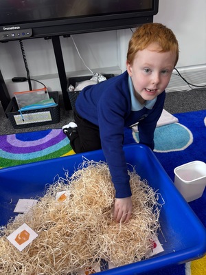 Standard 20885dfe d80f 4507 a3d8 0d8556524022