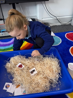 Standard 1583221d b3e1 4859 b8c3 47156572d22e