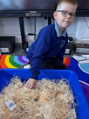 Standard a670e055 4563 4b47 a786 84eb8b81ff23