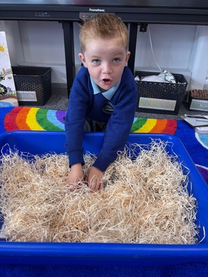 Standard d07c61ce 6cad 4391 aaa5 ffa4965d4e19