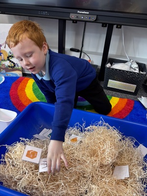 Standard e02fb5e6 544f 4cef bf13 977a233288ca