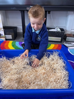 Standard ef03ab6d 9c02 46cd 909b d681ac0ed272